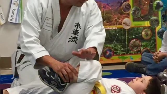 Izumi Karate International смотреть онлайн