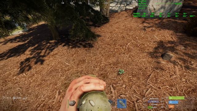 Rust RX 5600 XT 1440p смотреть онлайн