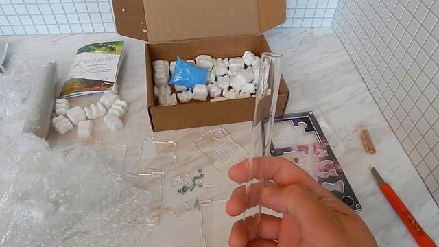 Мураши. Моя первая муравьиная ферма смотреть онлайн