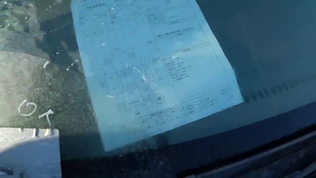 АВТОРЫНОК ПОСТАВИЛИ ГРАНИЦЫ, ВЛАДИВОСТОК ЗЕЛЁНЫЙ УГОЛ 2024 смотреть онлайн