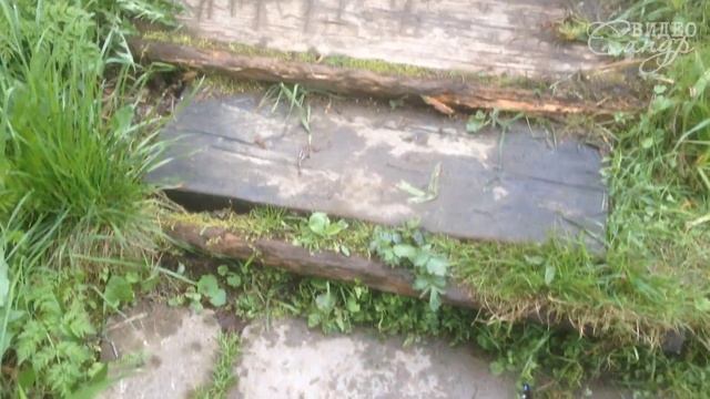 Лето! Солнце и Вода!!! смотреть онлайн