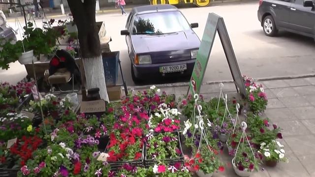 Рынок Покровское смотреть онлайн