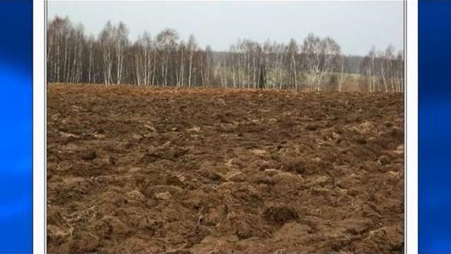 Цена настоящего молока... смотреть онлайн