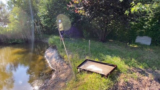 Как и чем кормить рыбу в своём пруду. Пруд на участке. Пруд с рыбой на даче. смотреть онлайн