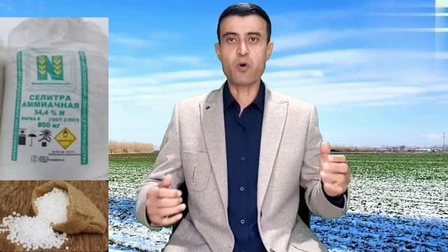AZOTLI O‘G‘ITLAR: AMMIAKLI SELITRA, AMMONIY SULFAT... 108-son. АЗОТЛИ УГИТЛАР смотреть онлайн