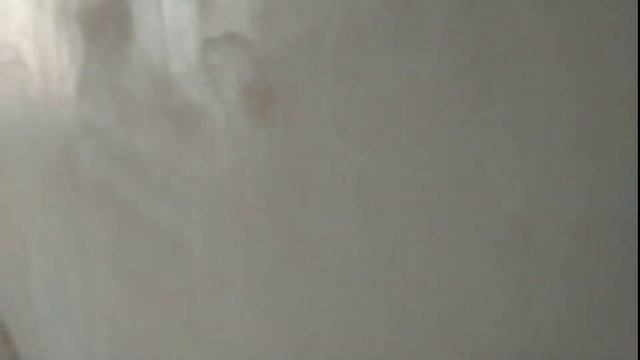 2 х комнатная квартира в Жилищный Комплекс Комфорт смотреть онлайн