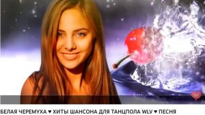 Мои любимые песни: "А любовь, нито пьяная вишня..."