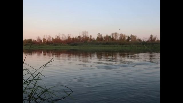 Рыбалка на рагуля в проводку . река Сож . Лето 2019 . Часть 1 смотреть онлайн