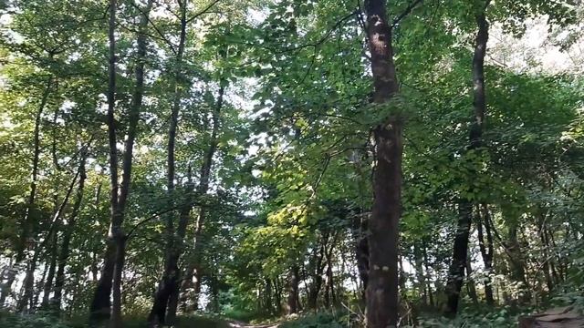 ДОНСКОЕ. Интересные места. Выезжаем!!! / Калининградская область смотреть онлайн