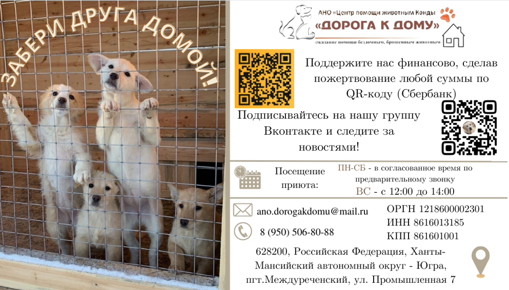 Центр помощи животным Конды «Дорога к дому».mp4