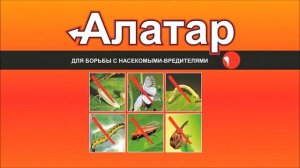 Алатар — универсальный препарат для защиты большинства садово огородных культур от вредителей