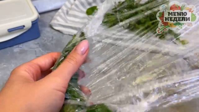 Учебные материалы