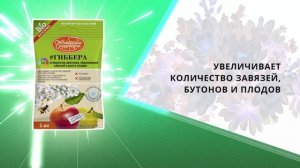 Гиббера