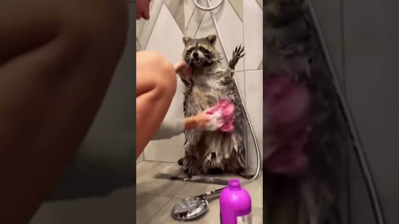 Мне бы так жить смотреть онлайн