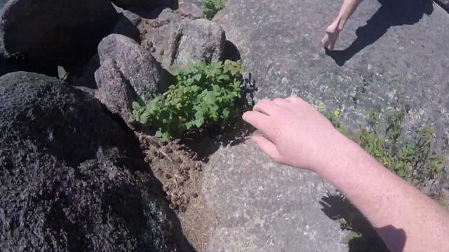 Подьем на первый столб смотреть онлайн