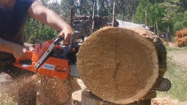 Husqvarna 372xp vs. Husqvarna 365xt vs. Holzfforma G372xp (same bar/same chain) смотреть онлайн