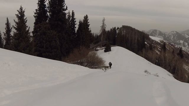 Кок-Жайляу. Январь 2019 года смотреть онлайн