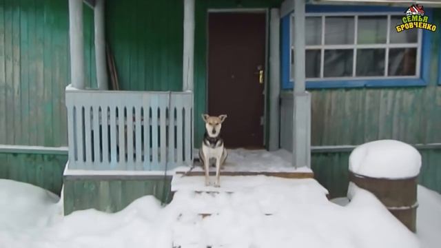 Нас завалило снегом :))) С наступающим праздниками! (12.17г.) Семья Бровченко. смотреть онлайн