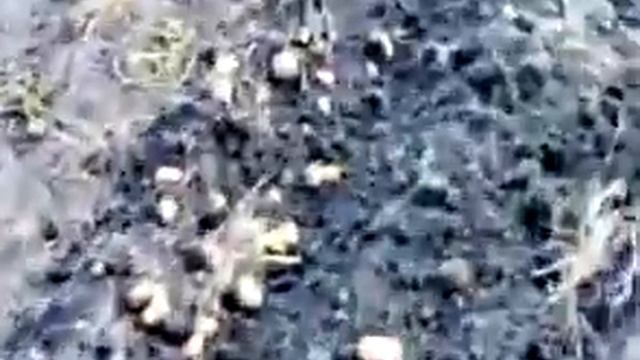 уборка картошки мотоблоком с адаптером смотреть онлайн