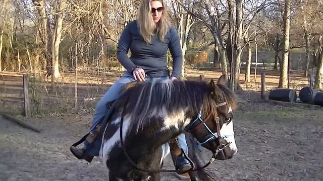 How to do the first ride on a horse that hasn't been ridden in 1 year plus - Groundwork and Saddle смотреть онлайн