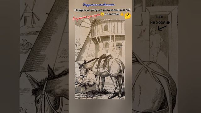 головоломка с ответом, найдёте на рисунке лицо хозяина осла? смотреть онлайн