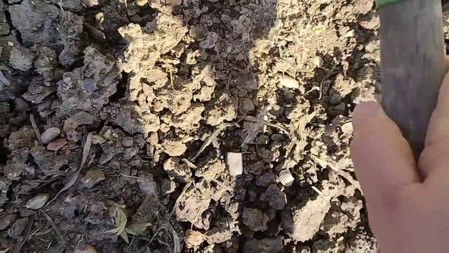 На обед борщ. На улице просто жарко. Навожу мало мальски порядки.Яблочный пирог. смотреть онлайн