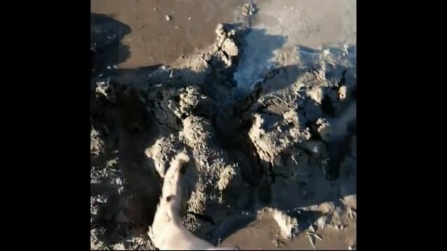 Нива пневмоход. Предел найден. смотреть онлайн