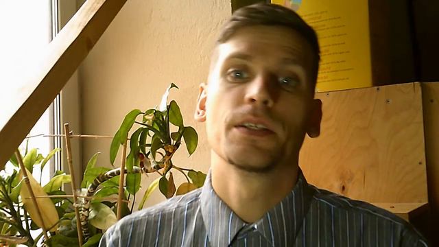 5 причин иметь/не иметь детей | Я люблю всё БИО смотреть онлайн