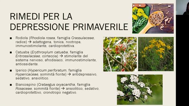 Seminario "Rimedi naturali per le problematiche primaverili" смотреть онлайн
