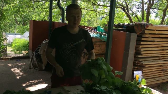 Банный веник из липы. смотреть онлайн