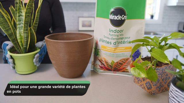 Terreau pour plantes d'intérieur Miracle Gro 8,8L смотреть онлайн