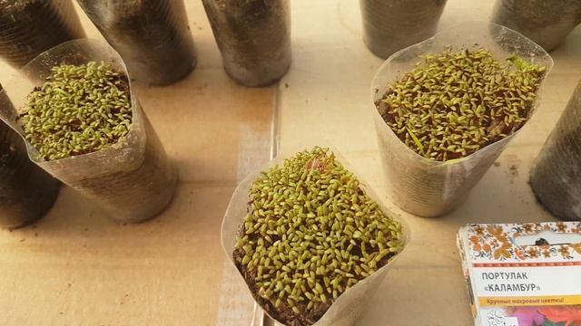 Фитнес и Тренировки