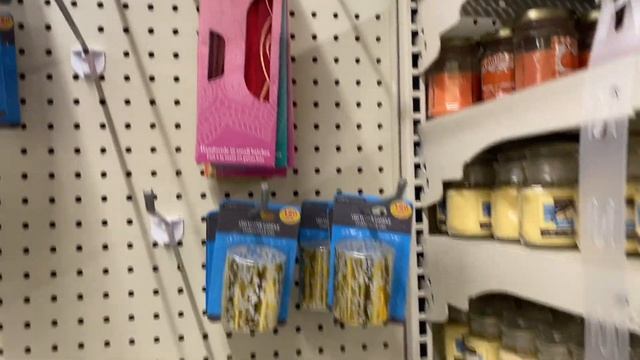 New DOLLAR TREE SHOP WITH ME!! **dollar tree has Clorox wipes ?***** смотреть онлайн