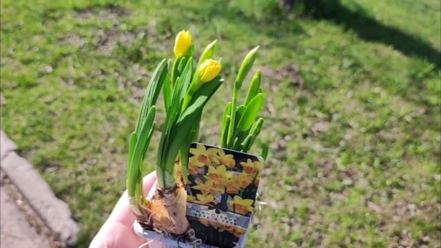 весна, опеншкаф, a lot of fun and peace?? смотреть онлайн