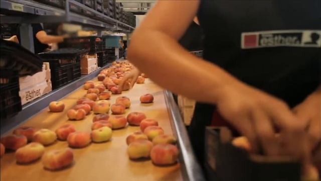 Demos Comunica-te Trabajamos para tí смотреть онлайн