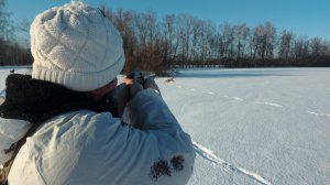 Охота на зайца зимой 2024