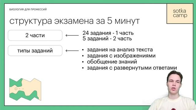 Топ 10 профессий для которых нужна биология | ОГЭ БИОЛОГИЯ 2022 | Онлайн-школа СОТКА смотреть онлайн