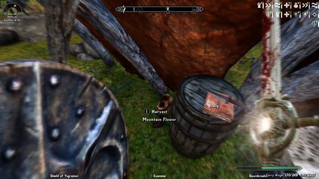 Dovahkiin Permadeath - EP 16 - The Blades - Skyrim Requiem 3Tweaks+ смотреть онлайн