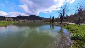 С Папой на рыбалке. В целом хорошо. Адлер. Форелевое хозяйство!