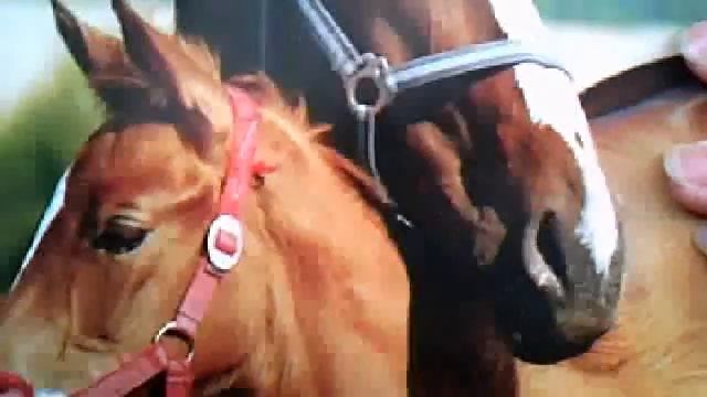 Видео c веб-камеры от 28 марта 2015 г., 09:49 (UTC)