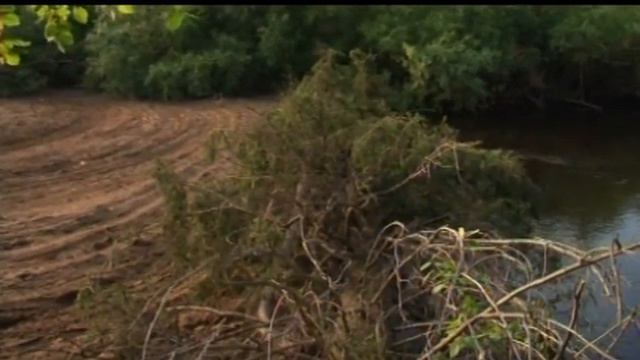 №2106: Пена в реке Вихорева смотреть онлайн