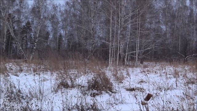 Охота на зайца с ЭГ.часть 2 смотреть онлайн