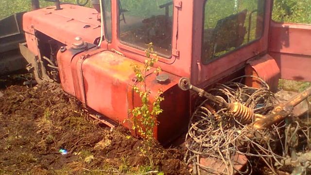 приключения в болоте и как я нашел черепаху смотреть онлайн