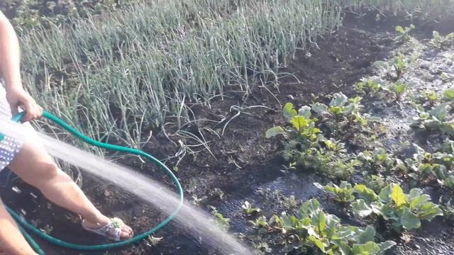 VLOG. Отчет о ходе строительства пристроя.Аделинка купается в каркасном бассейне. Работаем в огород смотреть онлайн