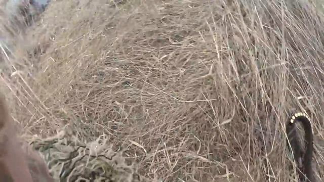 Утиная охота - Закрытие смотреть онлайн