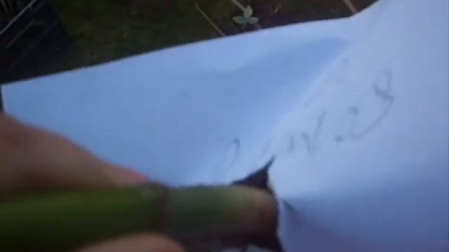Георгины. Уборка и хранение. смотреть онлайн