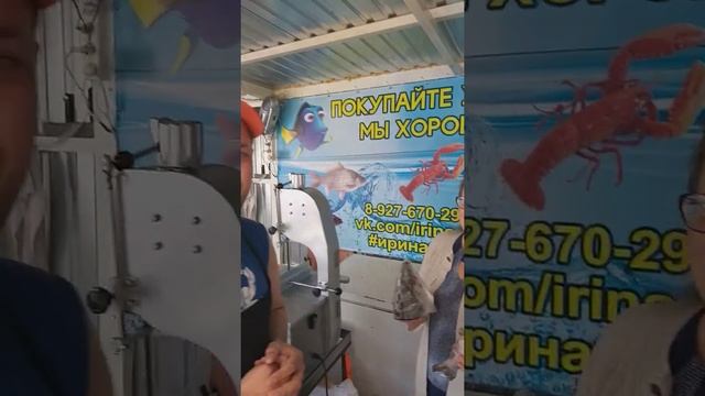 Победитель Альметьевск ИринаРыба смотреть онлайн