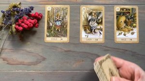 Карта дня. Таро прогноз от Елены из Канады