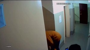 Быдло получает по заслугам!