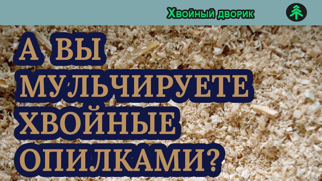 А вы мульчируете хвойные опилками? питомник "Хвойный дворик" вопрос ответ смотреть онлайн